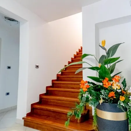 Guest house Luxury